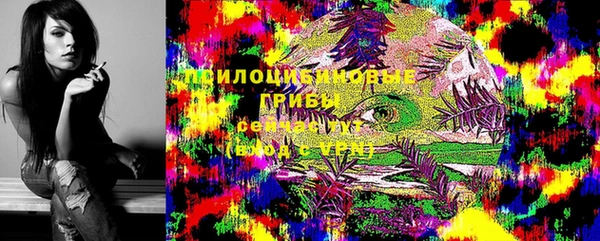 МДПВ Абинск